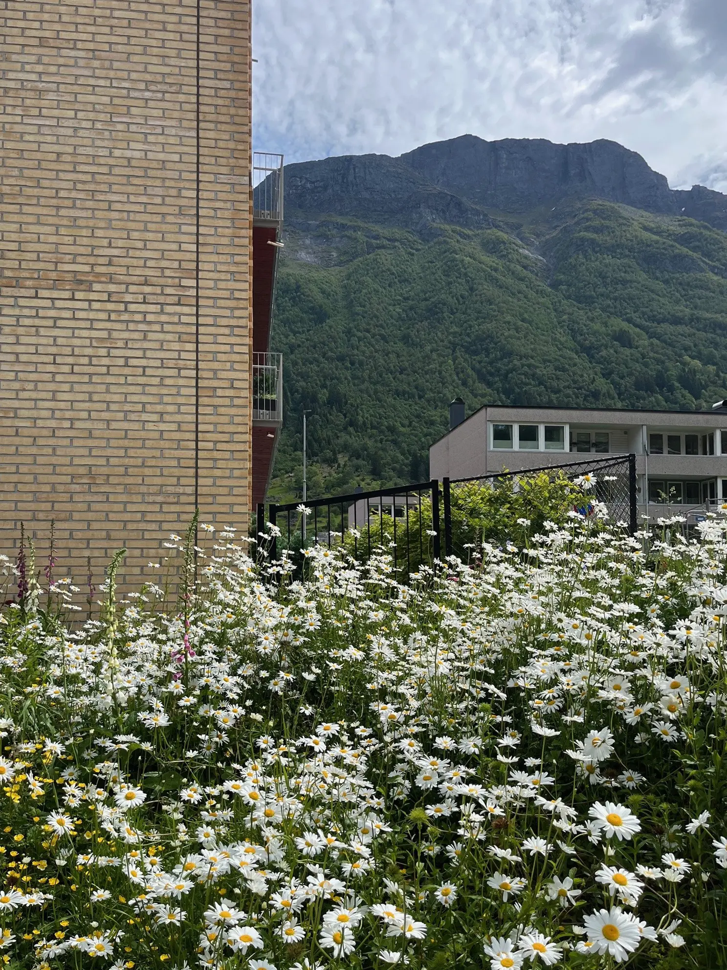 eide omsorgssenter i Ullensvang kommune, odda. bygget er et bærekraftig og framtidsrettet helsehus, med lys brun tegl og store vinduer. bygget ligger i vakre omgivelser, omkranset av høye fjell.