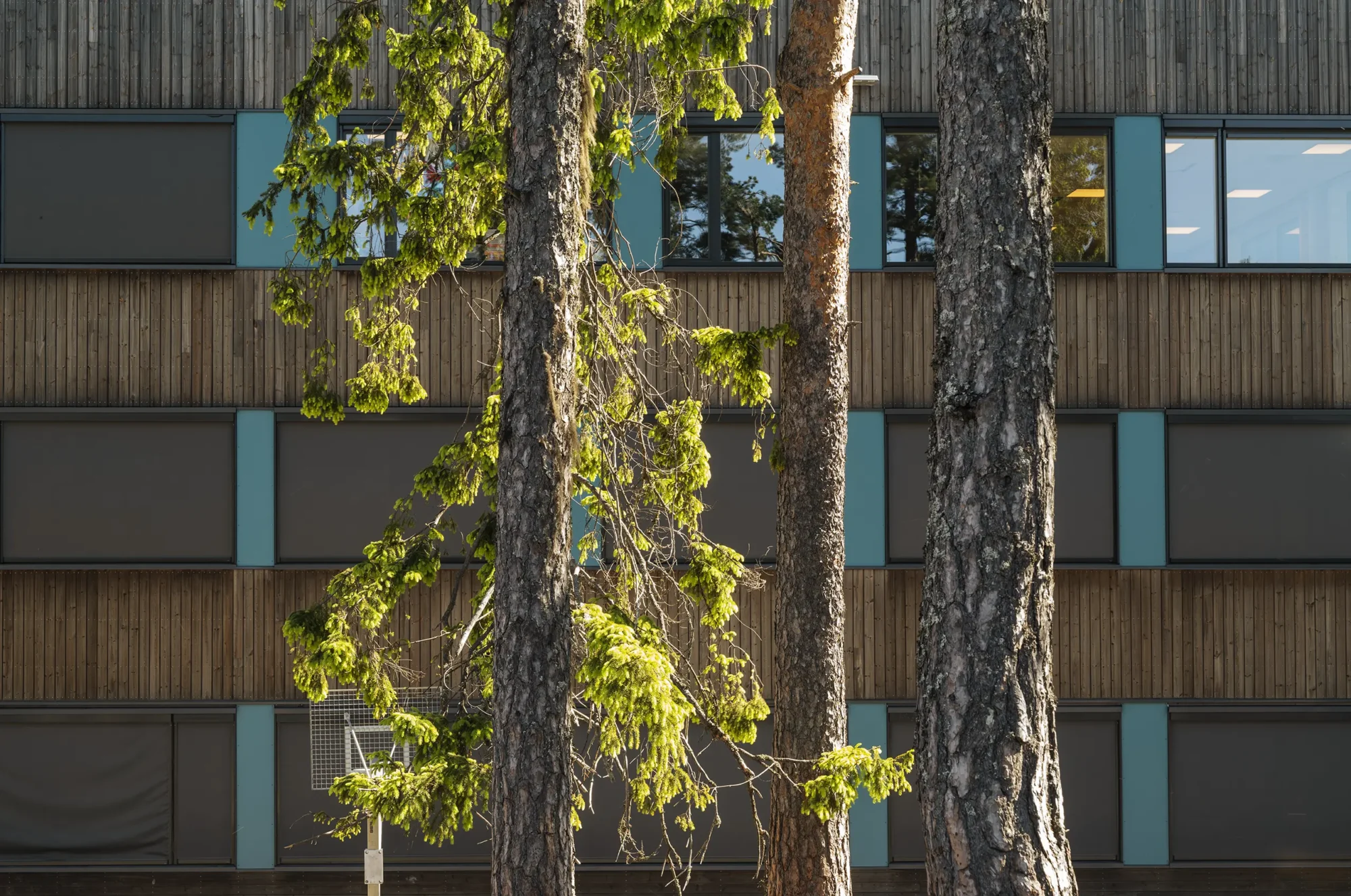 Fjerdingby skole, beliggende i en skog, der vegetasjonen er bevart og ligger helt inntil bygningskroppen. Fasader er utført i behandlet treverk, og har vindusbånd med farget plater i primærfarger, og tydelige innganger.