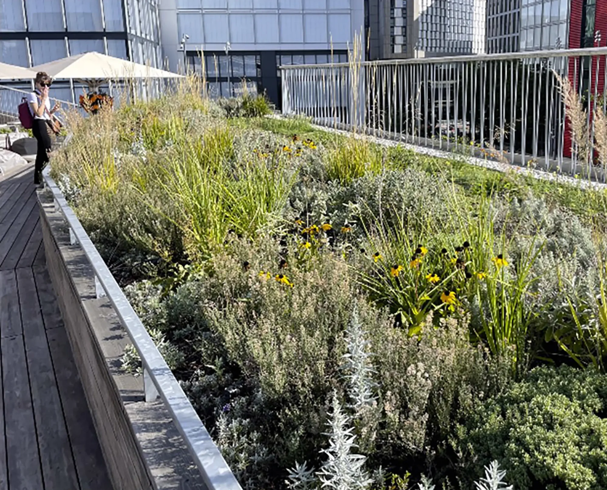 NIVA SPARE forskningsprosjekt, arealplanlegging, overvann og naturmangfold